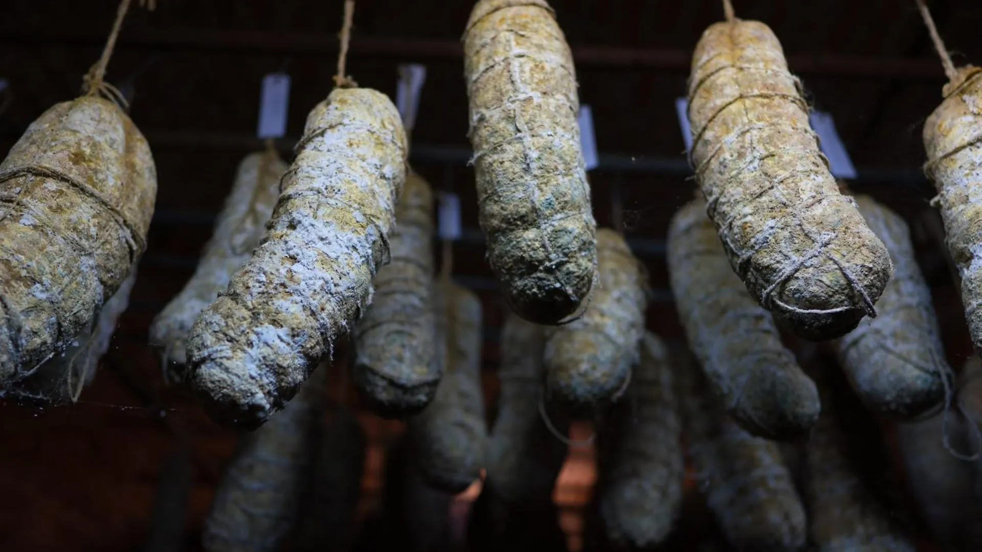 Lejlighed Appartamentino In Az Agricola Le Vigne Del Moretto Castelnuovo del Garda