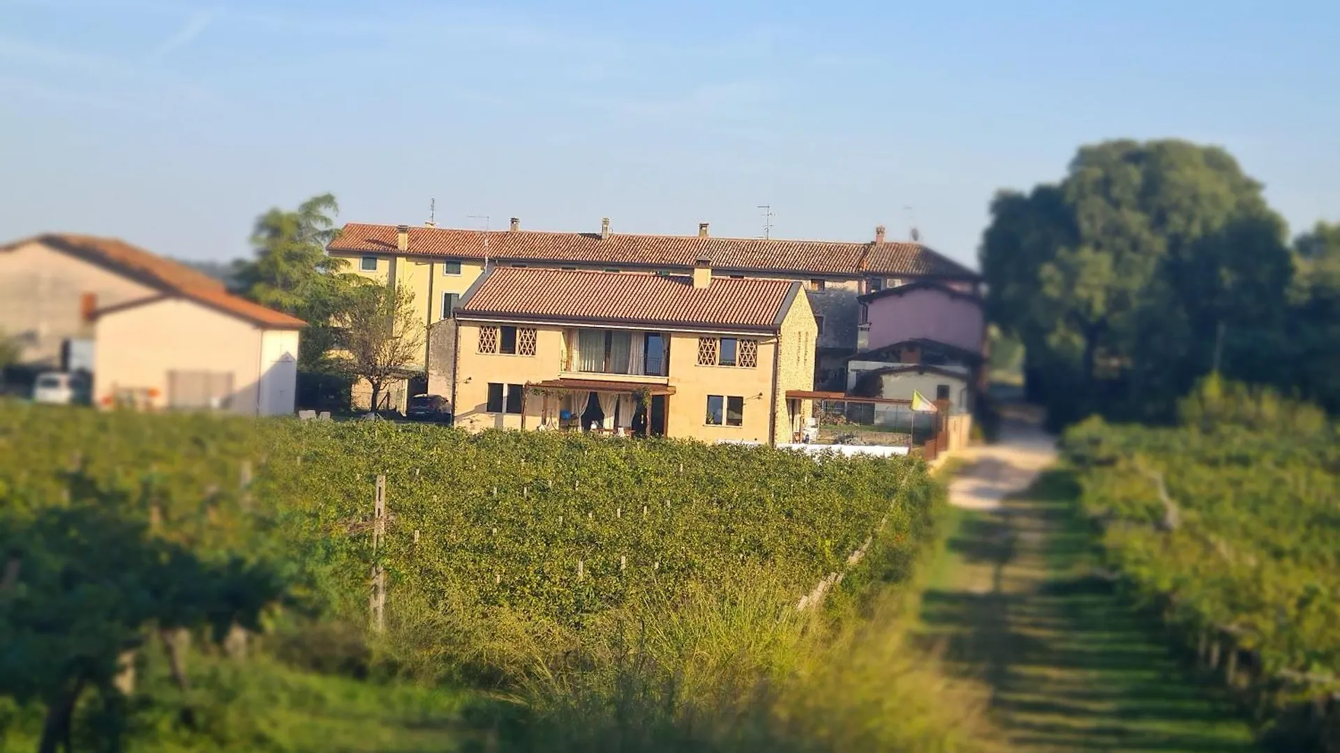 Appartamentino In Az Agricola Le Vigne Del Moretto Castelnuovo del Garda